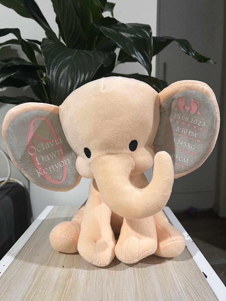 Birth Details Elephant Plush