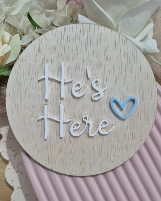 Reversible He's/She's Here Plaque