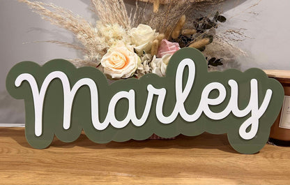 Double Layer Wall Name Plaque