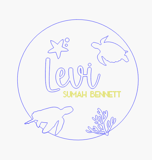 Name Announcement Plaque - Turtles