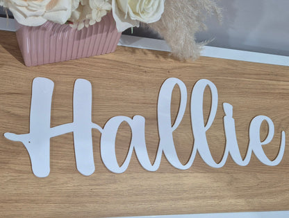 Single Layer Wall Name Plaque